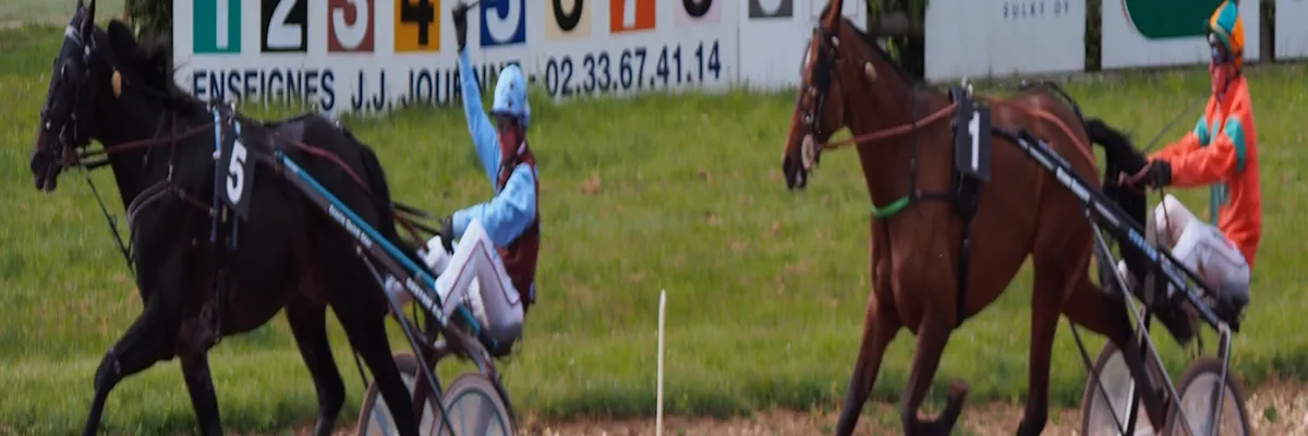 Image Installateur abri de piscine Argentan