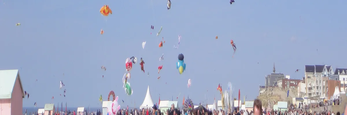 Image Installateur abri de piscine Berck