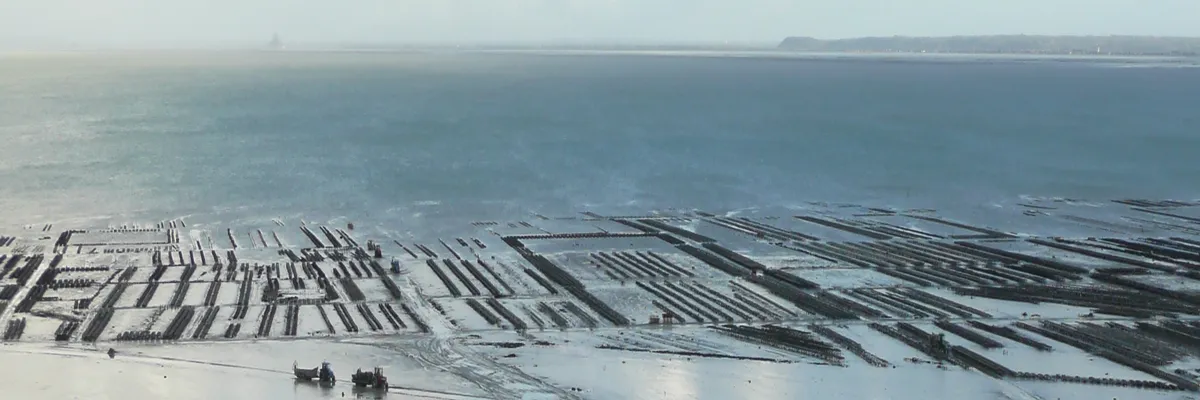 Image Installateur abri de piscine Cancale