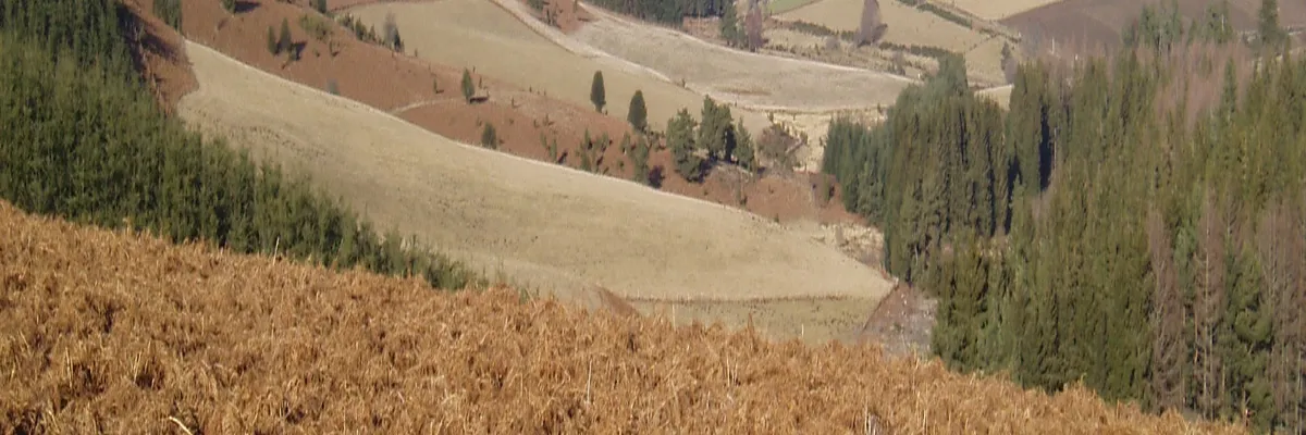 Image Installateur abri de piscine Creuse