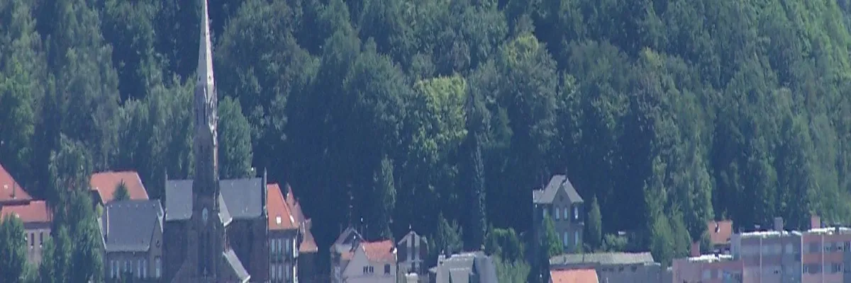 Image Installateur abri de piscine Forbach