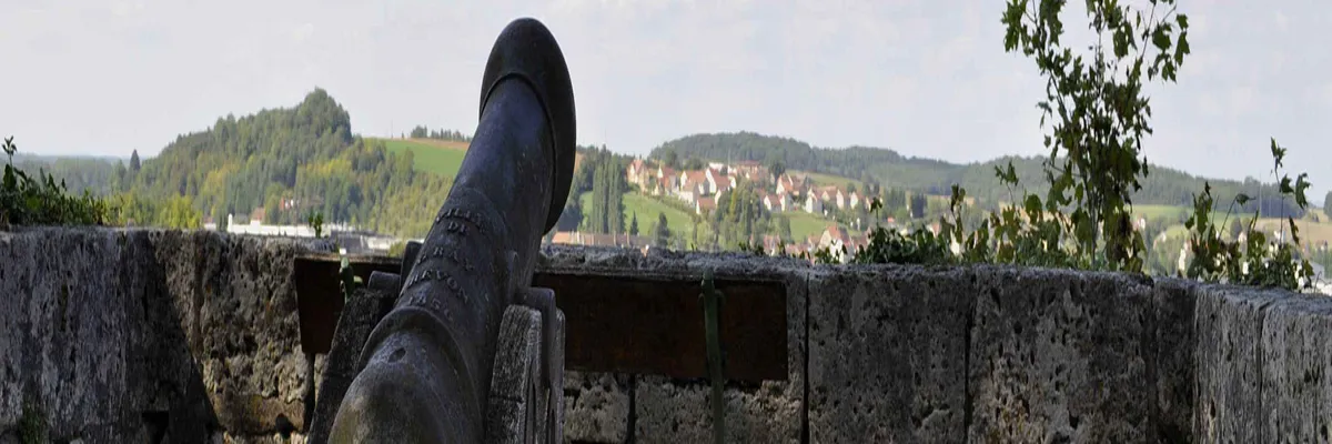 Image Installateur abri de piscine Gray