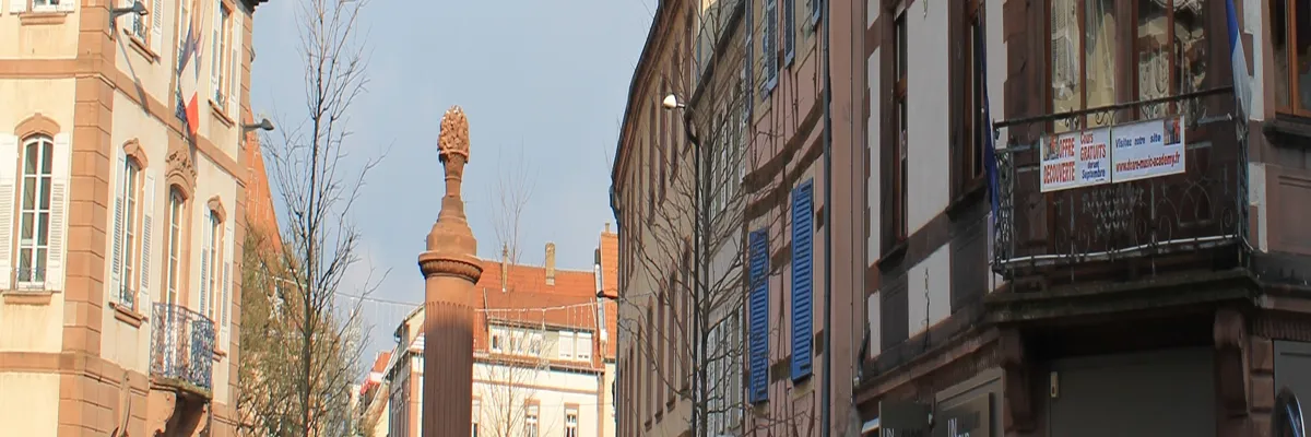 Image Installateur abri de piscine Haguenau