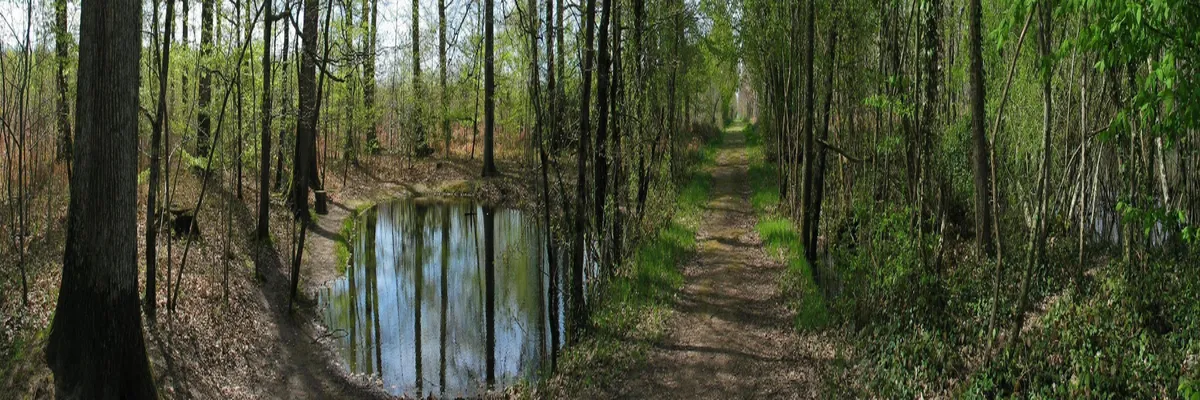 Image Installateur abri de piscine Indre