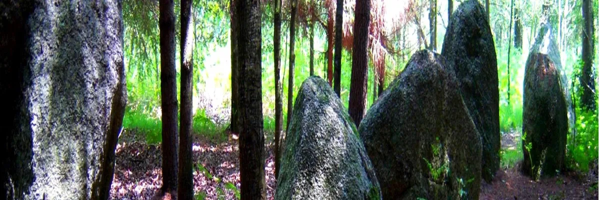 Image Installateur abri de piscine Languidic