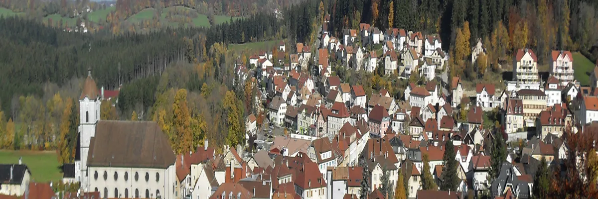 Image Installateur abri de piscine Maîche