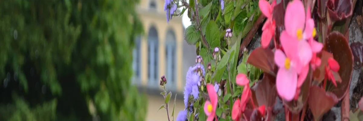 Image Installateur abri de piscine Saint-Étienne-au-Mont