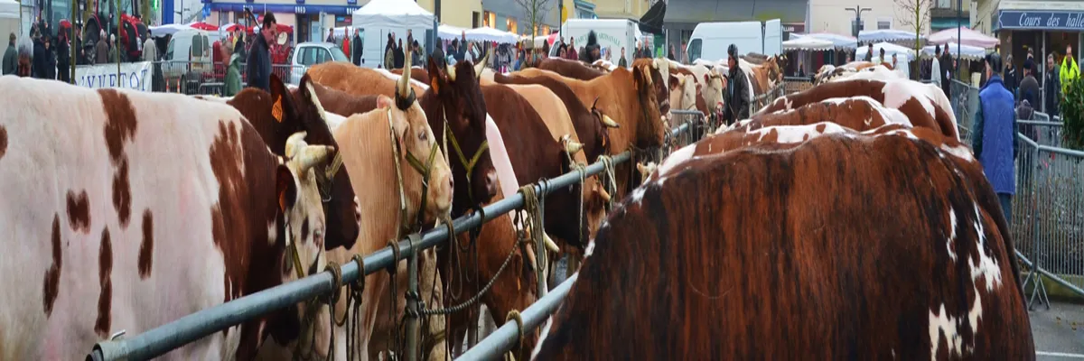 Image Installateur abri de piscine Yvetot