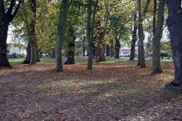 Abri Piscine Prix Installateur abri de piscine Idron