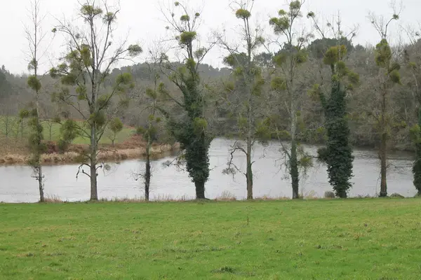 Abri Piscine Prix Installateur abri de piscine Muzillac