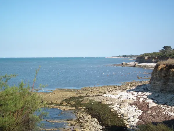 Abri Piscine Prix Installateur abri de piscine Nouvelle-Aquitaine
